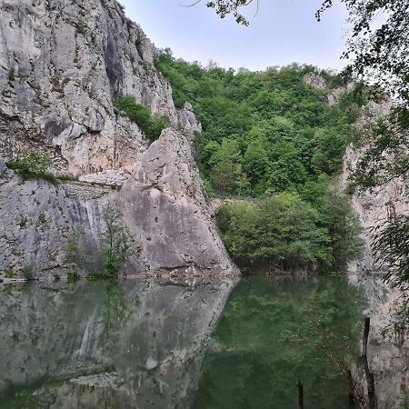 Ribarev San Villa Ovcar Banja Luaran gambar