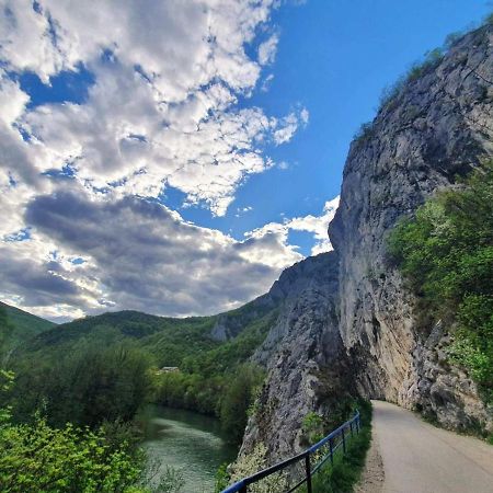 Ribarev San Villa Ovcar Banja Luaran gambar
