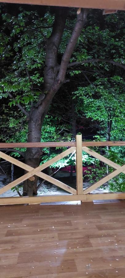Ribarev San Villa Ovcar Banja Luaran gambar