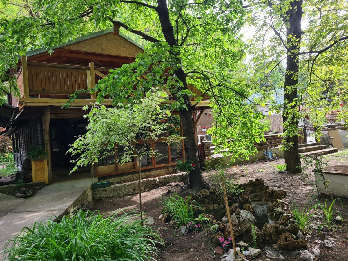 Ribarev San Villa Ovcar Banja Luaran gambar