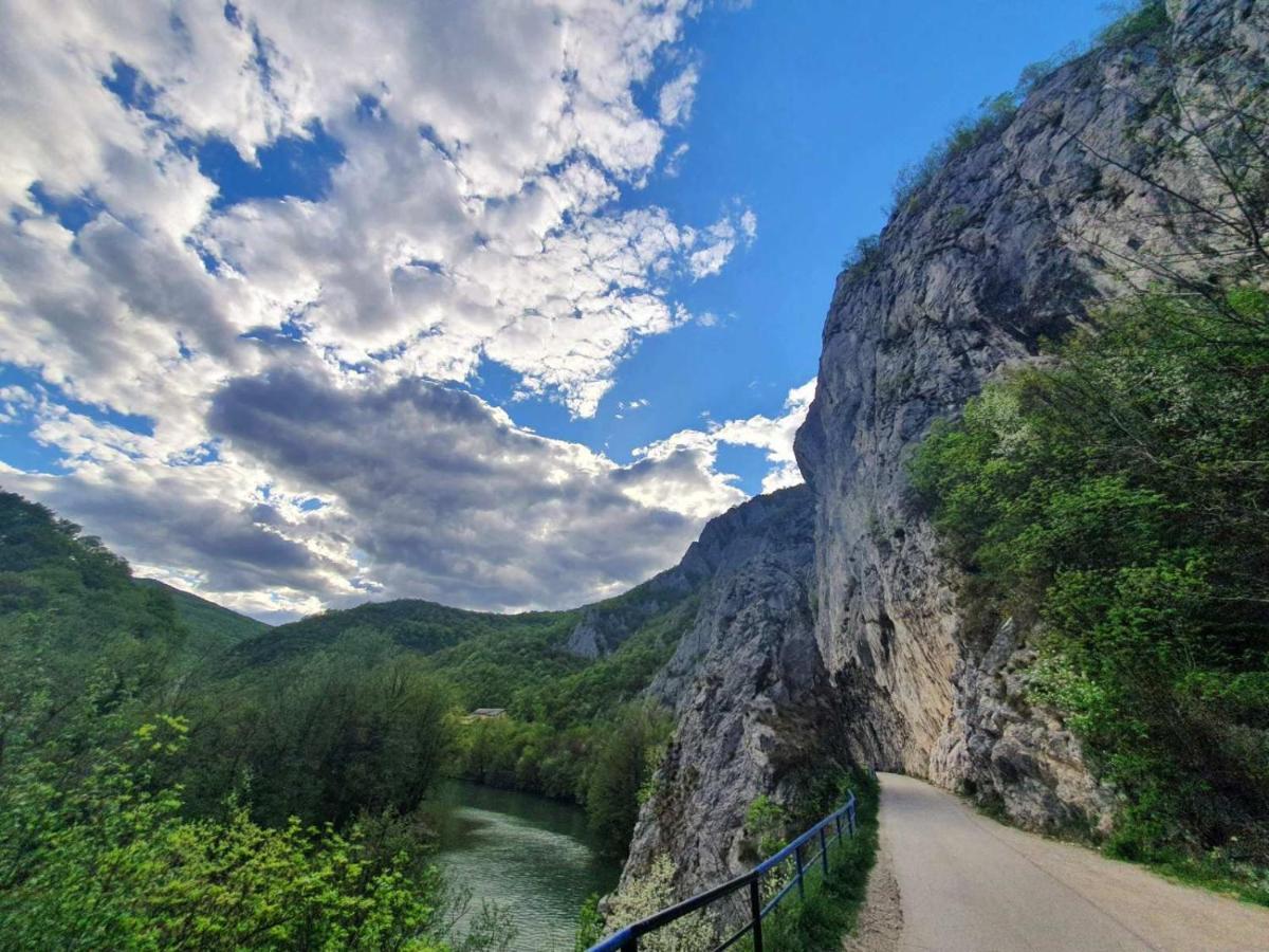 Ribarev San Villa Ovcar Banja Luaran gambar