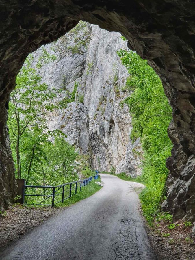 Ribarev San Villa Ovcar Banja Luaran gambar
