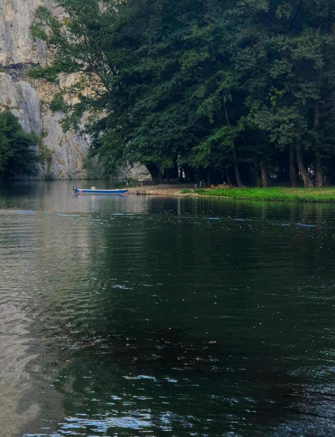 Ribarev San Villa Ovcar Banja Luaran gambar